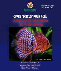 offre Discus
